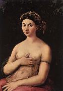 RAFFAELLO Sanzio Portrait of a Young Woman painting